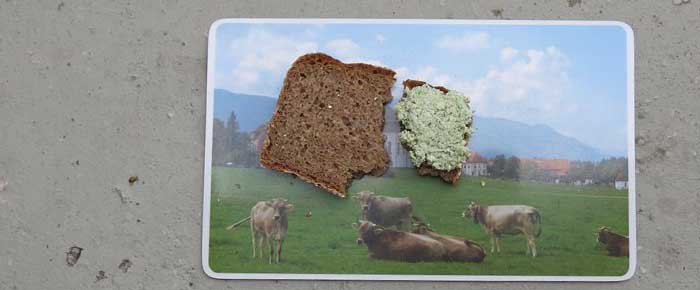 Brotaufstrich des Monats: Schabziger-Aufstrich - Schmeckt nach mehr