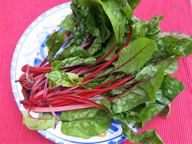 Mangold – Schmeckt nach mehr