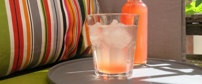 Rhabarbersaison verlängern: Rhabarber-Ingwer-Sirup