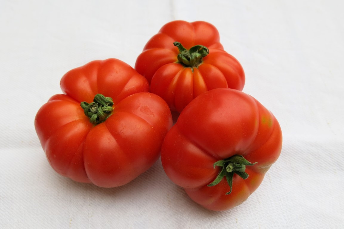 Tomaten Platte - Rezepte Suchen