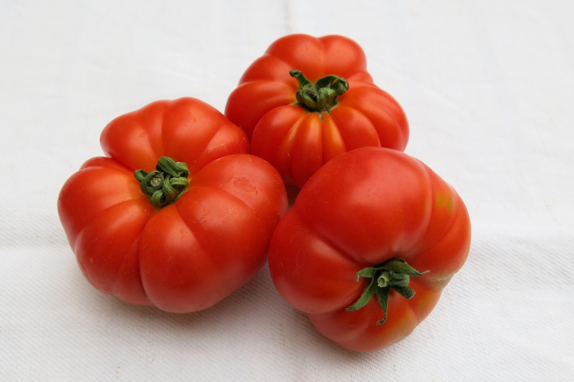 Tomaten Platte — Rezepte Suchen