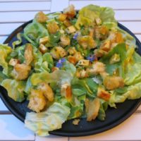 Brotsalat mit Dicken Bohnen auf einem Teller