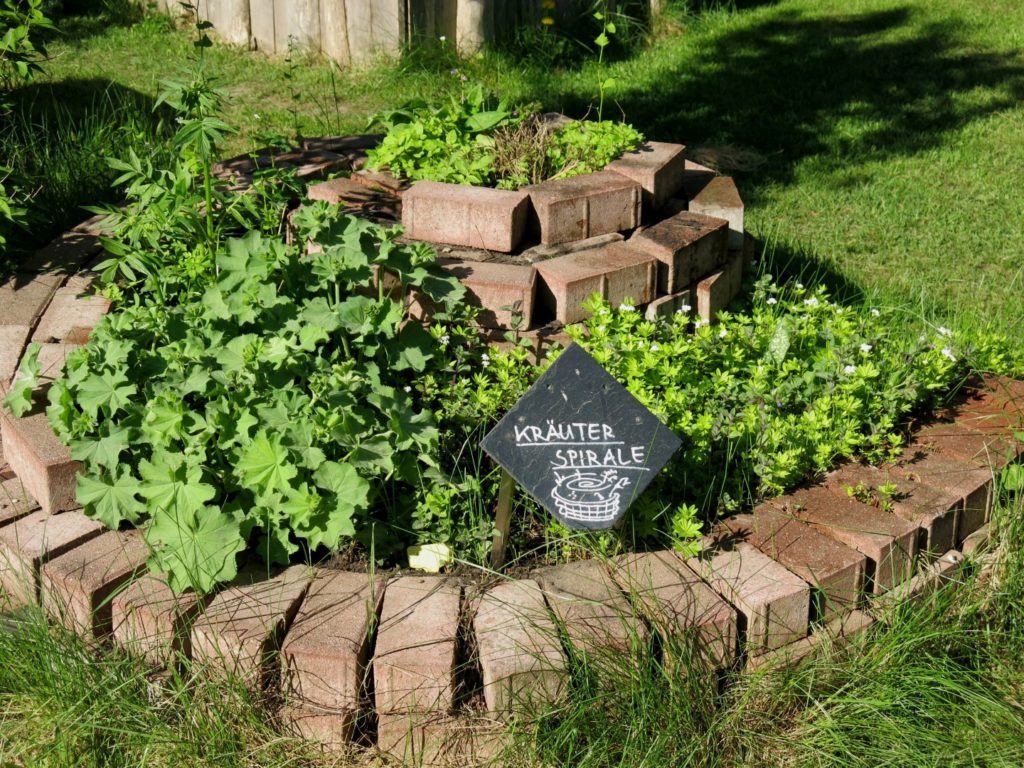 Kräuterspirale im Schulgarten